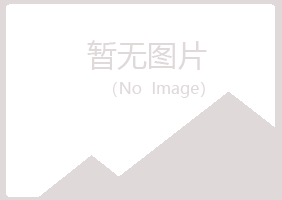 长武县紫山能源有限公司